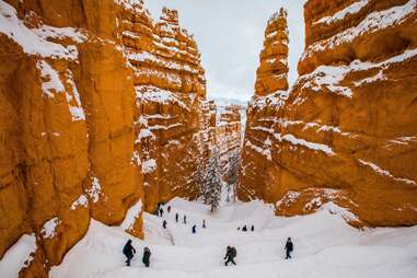 winter landscape in bryce canyon national park