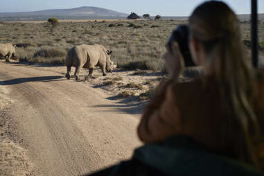 woman taking photos of a rhino on african safari