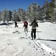 cross country skiing on Mt Pinos in the Tejon Pass
